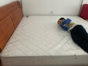 喜臨門(mén)白騎士床墊政府補貼加厚進(jìn)口乳膠護脊黃麻 獨袋彈簧家用 白騎士plus【指定尺寸閃送】 1.8*2米 曬單實(shí)拍圖