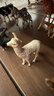 思樂(lè )（Schleich S）新年禮物仿真農場(chǎng)家禽動(dòng)物模型羊駝豬兔羊驢豬火雞男女孩兒童玩具 羊駝13920 曬單實(shí)拍圖