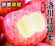 洛川蘋(píng)果陜西延安特產(chǎn)紅富士時(shí)令蘋(píng)果水果禮盒送蘋(píng)果生鮮新鮮脆甜整箱批發(fā) 18個(gè)80mm大果優(yōu)選 彩箱裝【推薦】 曬單實(shí)拍圖