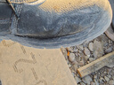 霍尼韋爾安全勞保鞋中幫加棉冷庫工作鞋子鋼包頭防砸鋼墊防刺防靜電男女 牛皮/中幫 防砸 防靜電SHK223111M 42 曬單實(shí)拍圖