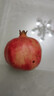 田良季突尼斯軟籽石榴【多地次日達】會(huì )理新鮮中秋超紅水果無(wú)籽送禮禮盒 5斤禮箱裝丨較劃算 精選超大果丨單果350g-400g+丨很甜 曬單實(shí)拍圖