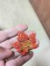 詩(shī)迦努胸針女精致橘紅色水鉆楓葉別針扣設計感小眾西服胸花點(diǎn)綴配飾 水 曬單實(shí)拍圖