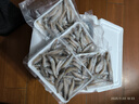 深海野生小沙丁魚(yú) 深海捕撈無(wú)添加高DHA低脂 500g/盒一斤40條左右 野生沙丁魚(yú)凈重4斤 曬單實(shí)拍圖
