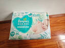 幫寶適（2包裝）清新幫嬰兒紙尿褲拉拉褲夏季超薄透氣干爽 XL38紙尿褲*2包 曬單實(shí)拍圖