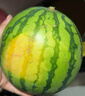 京鮮生 無(wú)籽麒麟瓜西瓜 1粒裝 單果5-6斤 生鮮水果源頭直發(fā)包郵 曬單實(shí)拍圖