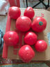 【超市精選】山東沙瓤水果西紅柿新鮮番茄蔬菜減肥單果100g起 西紅柿中大果 4斤 帶箱 曬單實(shí)拍圖