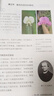 2025新版初中八年級下冊人教版生物書(shū)課本全新改版教材教科書(shū) 8八下全新版生物課本教材人教版教科書(shū)人彩印版 新版人教版生物 八年級下 曬單實(shí)拍圖