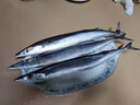 大號秋刀魚(yú) 3-5條/斤無(wú)冰凈重新鮮海捕鮮活冷凍海鮮燒烤食材魚(yú)類(lèi) 海捕秋刀魚(yú)3斤（3-5條/斤） 曬單實(shí)拍圖