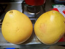 元珍鮮誠福建琯溪紅心蜜柚當季新鮮送禮現摘柚子 新鮮整箱水果 5斤裝（凈果4.5斤）約2個(gè)裝 曬單實(shí)拍圖