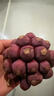 優(yōu)味集黑老虎布福娜熱帶鮮果湖南惡魔果實(shí)血藤果奇異生鮮罕見(jiàn)水果整箱 500g凈重裝 曬單實(shí)拍圖