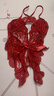 情趣內衣性感蕾絲誘惑開(kāi)檔連體衣女火辣透視睡衣免脫制服 酒紅色+胸墊 2002 均碼 曬單實(shí)拍圖