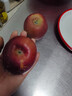 京覓四川大涼山丑蘋(píng)果 凈4.5斤 單果70mm+新鮮水果冰糖心蘋(píng)果源頭直發(fā) 曬單實(shí)拍圖