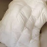 波蘭進(jìn)口羽絨被99%白鵝絨靜音保暖高檔七星級酒店鵝絨空調被芯 太空白【100%鵝絨+會(huì )員禮袋】 200*230cm【3斤】夏季款 曬單實(shí)拍圖
