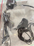 夢(mèng)多福小蜜蜂擴(kuò)音器教師專用兒童專用耳麥導(dǎo)游大音量喇叭擴(kuò)音器藍(lán)牙麥克風(fēng)耳麥導(dǎo)游揚(yáng)聲器 米色【雙倍續(xù)航+實(shí)時(shí)電量+可藍(lán)牙/插卡+大音量】 兒童/成人通用 曬單實(shí)拍圖