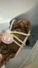 【活蟹】蟹宗大閘蟹鮮活螃蟹河蟹現貨全母3.5-3.8兩8只去繩足重水產(chǎn)生鮮海鮮禮品禮盒 曬單實(shí)拍圖