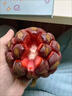 優(yōu)味集黑老虎布福娜熱帶鮮果湖南惡魔果實(shí)血藤果奇異生鮮罕見(jiàn)水果整箱 500g凈重裝 曬單實(shí)拍圖