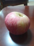 京鮮生 山東煙臺紅富士蘋(píng)果 凈重5斤 果徑75mm+ 新鮮水果 源頭直發(fā) 曬單實(shí)拍圖