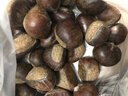 燕栗翁正宗遷西板栗河北特產(chǎn)即食生栗子5斤新鮮油栗子新貨遷西直發(fā) 燕翁精品大粒5斤（每斤60顆左右） 曬單實(shí)拍圖
