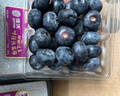 京鮮生 進(jìn)口秘魯藍莓2盒裝 JUMBO 18mm+ 約125g/盒 生鮮 源頭直發(fā) 曬單實(shí)拍圖