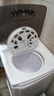 長(cháng)虹15KG大容量單獨脫水機甩干機家用甩干桶單脫水機甩衣服宿舍租房 12(KG)塑料加厚內桶 曬單實(shí)拍圖