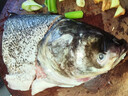 鮮喜愛(ài) 冷凍千島湖有機鰱魚(yú)頭1.5斤 白鰱魚(yú)頭  生鮮魚(yú)類(lèi) 海鮮水產(chǎn) 曬單實(shí)拍圖