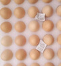 京鮮生 無(wú)抗保潔鮮雞蛋30枚/盒 健康輕食 禮盒送禮 1.5kg/盒 源頭直發(fā) 曬單實(shí)拍圖