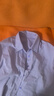 初語(yǔ)條紋翻袖襯衫女時(shí)裝感上班通勤上衣高級感氣質(zhì)純棉襯衣 淺紫色 M 曬單實(shí)拍圖