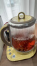 北鼎（Buydeem）【無(wú)膠水】養生壺中藥壺多功能養生壺恒溫壺迷你玻璃煮茶器煮茶壺燒水壺1.5L K123小鵝黃 曬單實(shí)拍圖