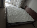 雅蘭【M1】有度珍藏版 天然黃麻床墊乳膠席夢(mèng)思床墊 有度珍藏版 1.8*2m 曬單實(shí)拍圖
