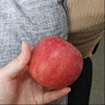 山姆伯伯 新疆阿克蘇蘋(píng)果【閃送】新鮮整箱紅富士冰糖心水果禮盒 【清甜-優(yōu)選果】75-80mm 5斤【超值推薦】 凈4.5* 曬單實(shí)拍圖