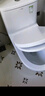 箭牌（ARROW）衛浴靜音緩降馬桶小戶(hù)型坐便器節水家用噴射虹吸抗菌防臭馬桶 行業(yè)爆款【T32】雙漩勁沖AEB12609 305坑距 曬單實(shí)拍圖