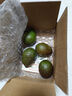 鮮級(jí)佳秘魯進(jìn)口牛油果鱷梨新鮮水果微催熟爽滑細(xì)膩寶寶輔食單果水果當(dāng)季 秒殺特惠 101-140g 【6個(gè)裝】 曬單實(shí)拍圖