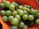 陽(yáng)光玫瑰葡萄晴王青提香水提子新鮮現摘時(shí)令水果無(wú)籽脆甜多汁 帶箱5斤/凈重4-4.5斤/12g+ 曬單實(shí)拍圖
