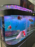 靚寵客廳家用中大型落地靠墻一體防爆玻璃熱帶魚(yú)缸新款底濾魚(yú)缸水族箱 深灰色（底濾+智能顯示屏+大禮包） 200x50x158cm 長(cháng)/寬/高 曬單實(shí)拍圖