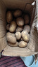 牛愛(ài)鮮 黃心土豆新鮮洋芋馬鈴薯黃皮應季蔬菜整箱優(yōu)質(zhì)土豆現摘美味蔬菜 5斤【現挖現發(fā)】品質(zhì)裝凈重4.5斤 農家現挖蔬菜 曬單實(shí)拍圖