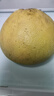 京鮮生 福建莆田度尾文旦柚 3斤裝 單果1.2-2斤 生鮮水果 源頭直發(fā)包郵 曬單實(shí)拍圖