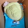 Jellycat蒂米烏龜動(dòng)物毛絨玩偶兒童安撫玩偶陪伴娃娃春夏新品送禮生日禮物 蒂米烏龜 Medium 曬單實(shí)拍圖