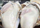 海鼎紀冷凍生蠔肉800g (400g*2)  牡蠣肉 火鍋燒烤食材海鮮生鮮 曬單實(shí)拍圖