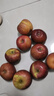 異果戀四川大涼山鹽源冰糖心丑蘋(píng)果瀘沽湖丑蘋(píng)果紅富士8斤大果純甜無(wú)酸 3斤大果75-80mm【約7個(gè)】 曬單實(shí)拍圖