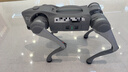 宇樹(shù)Go2 Air+遙控器版本 機器狗 AI大模型 四足機器人 仿生陪伴機器人 具身智能  電子寵物 高端禮物 曬單實(shí)拍圖
