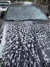 skingcond德國洗車(chē)液汽車(chē)專(zhuān)用高泡沫洗車(chē)蠟強力去污免擦拭清洗清潔劑黑白車(chē) 材質(zhì)高泡高亮4斤 洗車(chē)水蠟 曬單實(shí)拍圖