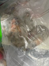 鮮享純【青島蝦】超大蝦新鮮大蝦冷凍鮮活青島大蝦批發(fā)整箱基圍蝦青蝦 15-17厘米鮮蝦速凍 3斤(凈重) 曬單實(shí)拍圖