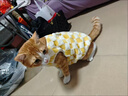 梵昇昱貓咪狗狗衣服秋冬衣服泰迪比熊衣服小型背心馬甲幼犬加厚保暖寵物 寵物衣服【棋盤(pán)格黃色】 S 曬單實(shí)拍圖