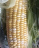 京鮮生云南水果玉米5斤 鮮甜玉米棒 甜脆多汁 新鮮蔬菜 源頭直發(fā)包郵 曬單實(shí)拍圖