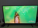 海信電視E5Q 50英寸 超畫(huà)質(zhì)U+Mini LED 144Hz高刷 U+超畫(huà)質(zhì)引擎 智能天線(xiàn)Wi-Fi6 國家補貼50E5Q 曬單實(shí)拍圖