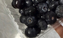 京鮮生 秘魯藍莓超大果Jumbo18mm+ 12盒裝 125g/盒 新鮮水果 源頭直發(fā) 曬單實(shí)拍圖
