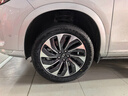 鄧祿普輪胎新能源EV【靜音棉】eSPORT MAXX 255/50R20 109V理想L6問(wèn)界M7唐攬巡 曬單實(shí)拍圖