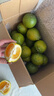 世果達正宗浙江溫州甌柑苦橘丑黃果甘貢歐柑桔麗水特產(chǎn)新鮮水果整箱 5斤裝大果【約4-5個(gè)/斤】 曬單實(shí)拍圖