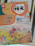 【新華書(shū)店 正版現貨】2026年新版適用一年級上冊語(yǔ)文數學(xué)課本人教版小學(xué)一年級幼小銜接新教材1一年級上冊語(yǔ)文書(shū)數學(xué)書(shū)2本一年級教材人教版部編版六三制 【人教版】一年級上冊語(yǔ)文數學(xué)（新版 現貨速發(fā)） 曬單實(shí)拍圖