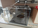 方小章第2代背濾魚(yú)缸超白玻璃水族箱中小型全套家用生態(tài)魚(yú)缸桌面金魚(yú)缸 BL350黑色2代-標配+蓋 曬單實(shí)拍圖
